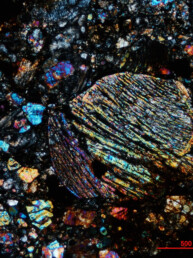 Photomicrograph of a chondritic meteorite, believed to originate from the Asteroid Belt. These meteorites are amongst the oldest know objects in the Solar System, dating back 4.56 billion years, and are the building blocks for the terrestrial planets. Credit: Anthony Kemp, UWA.